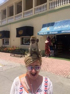 Monkey - Royal Caribbean Allure of the Seas - Fox Travel 