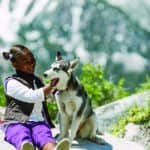 A girl is petting a husky dog on a rock during a USA tour.
