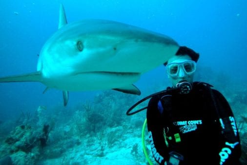 A man bravely encounters a shark while scuba diving as animal lovers observe.