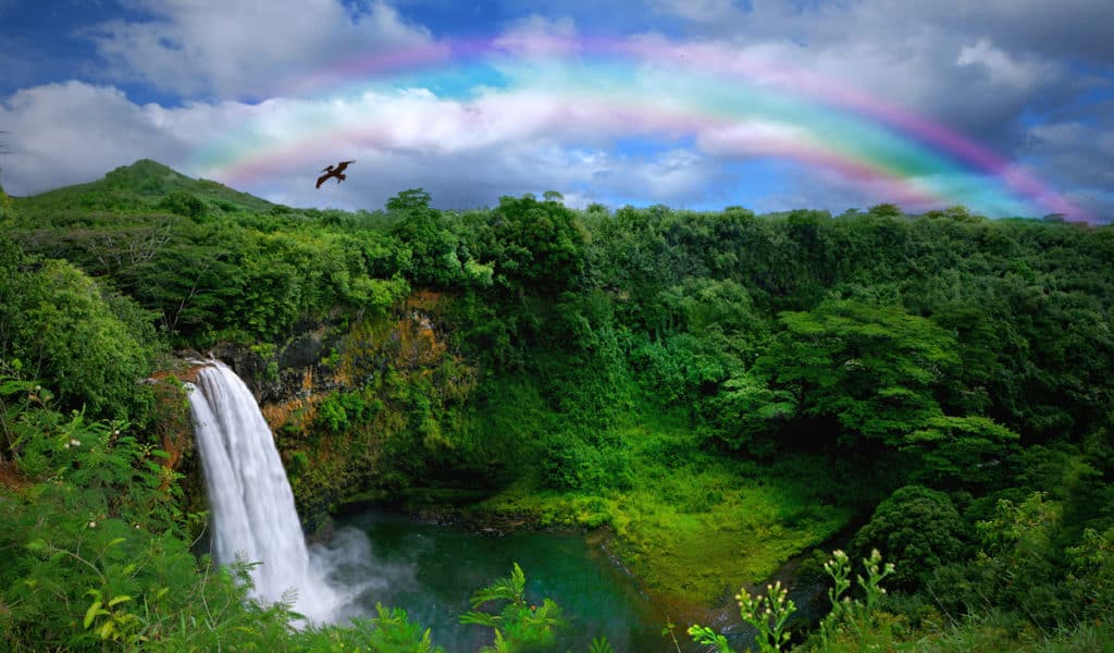A rainbow over a waterfall on the Best Hawaiian Island.