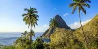 Tropical coastline with palm trees and a distinctive mountain