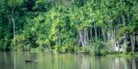A small wooden boat gliding on the Amazon river with dense, lush greenery and trees on the banks.