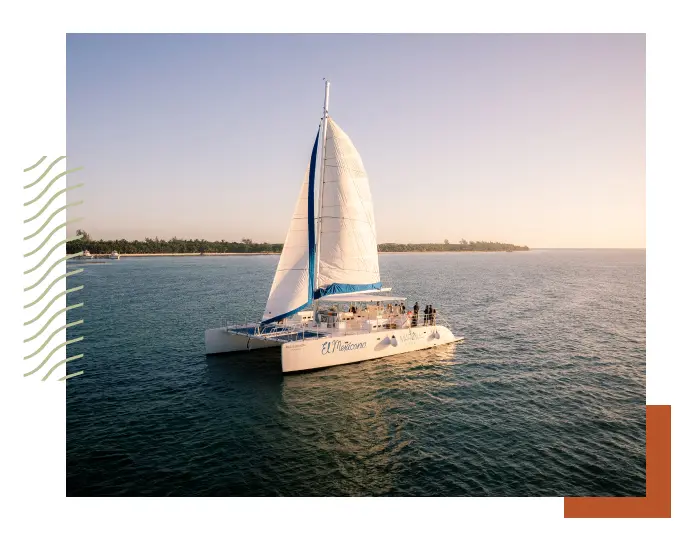 A large white catamaran with a single sail glides on calm ocean waters near an inclusive coastline under a clear sky.