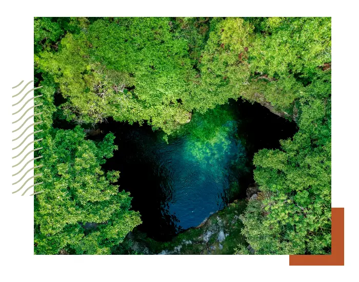 Aerial view of a small, clear blue pond surrounded by lush greenery in an inclusive, dense forest.