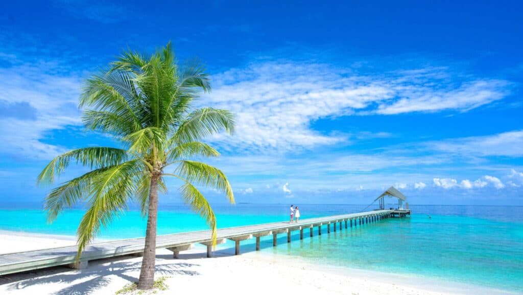 A palm tree on a sandy beach with a wooden pier extending over clear turquoise water under a bright blue sky offers the perfect setting for romantic getaways.