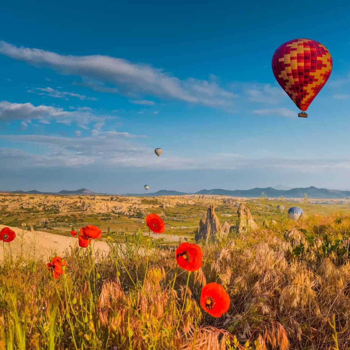 Hot air balloons flying over a field of poppies in an American Express Travel destination.